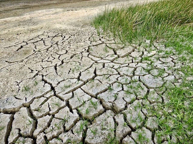 climate change, drought, climate