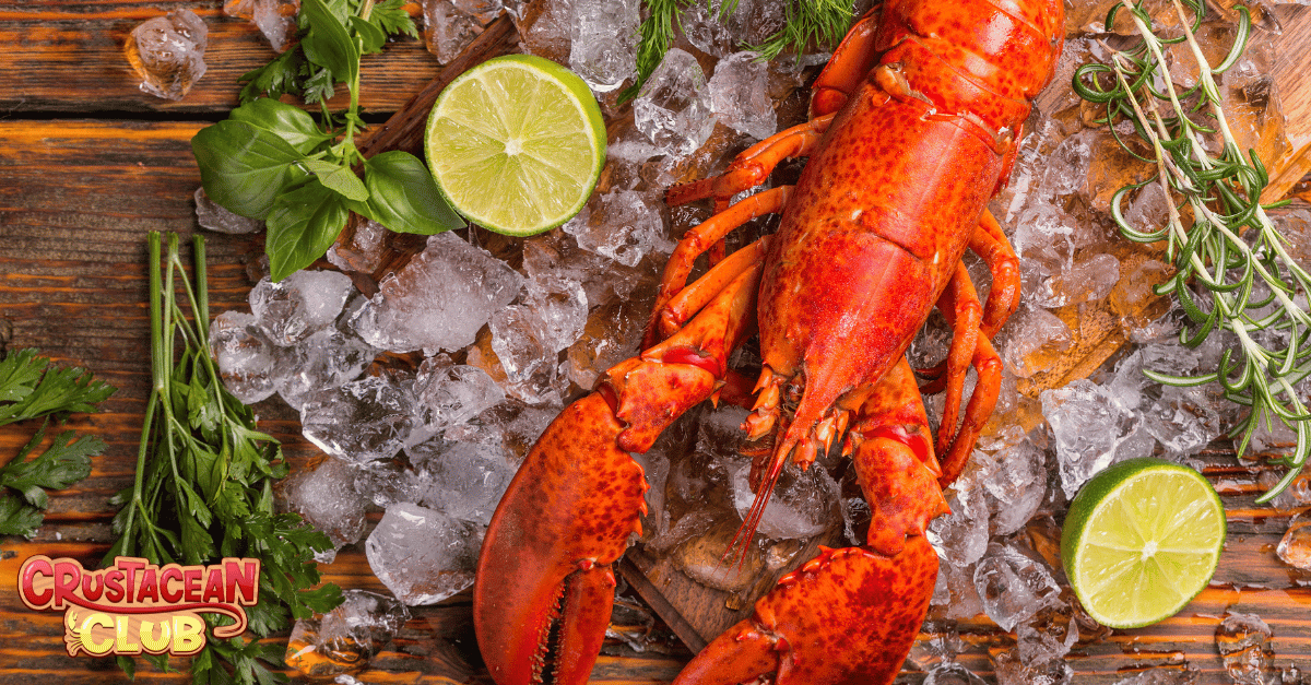 Selecting the best lobster for cleaning and cooking