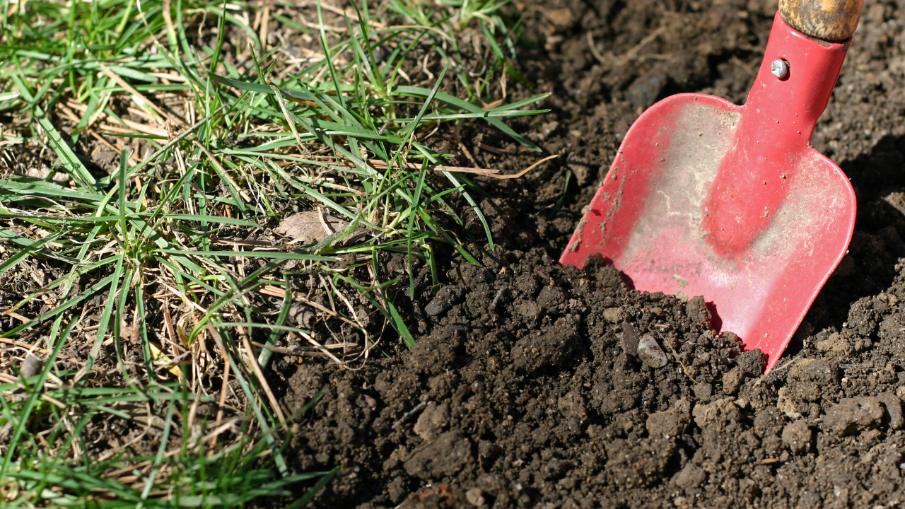 charge your crystals with soil
