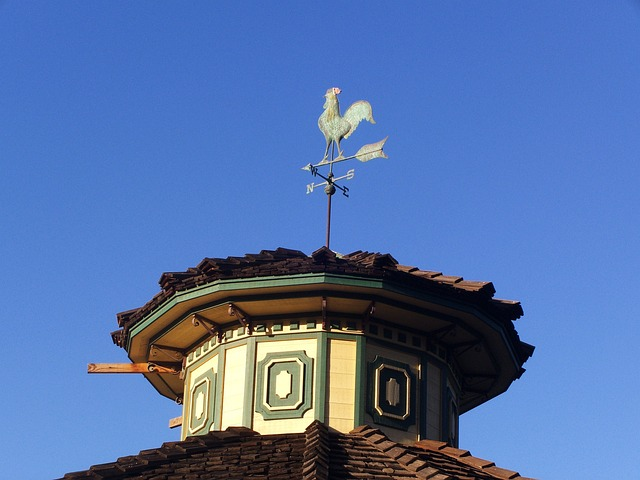 weathervane, weather vane, rooster