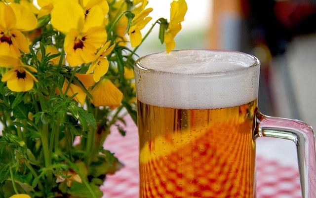 Original Oktoberfest, brewer's dinner experience, german beer