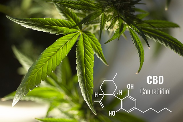 CBD Chemical Symbol Image by Erin Stone from Pixabay