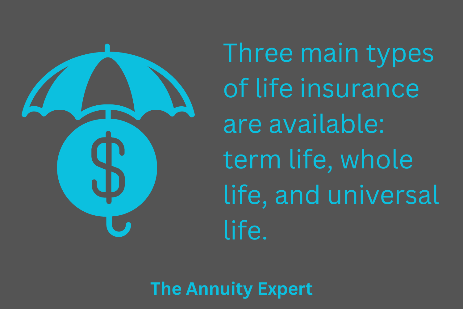 What Are The Three Main Types Of Life Insurance?