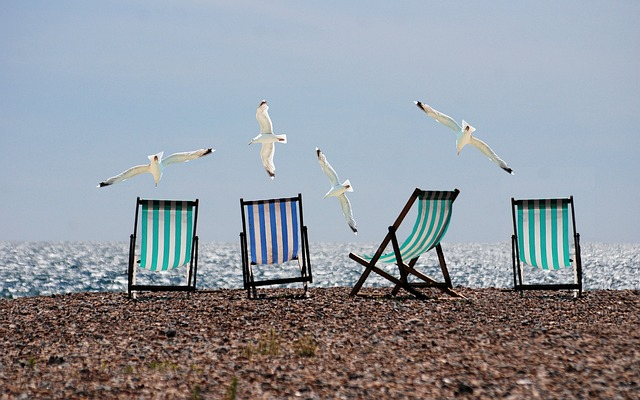 beach, seagulls, deckchairs