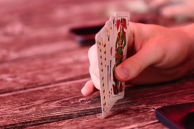 card game, bavaria, card player