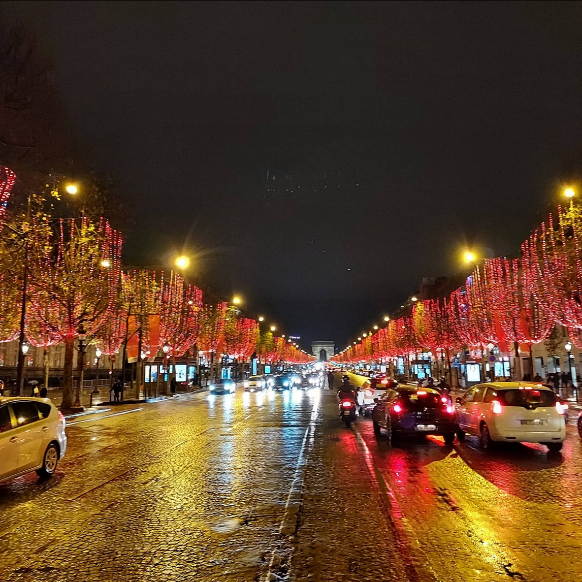 Christmas tree in Paris France 
