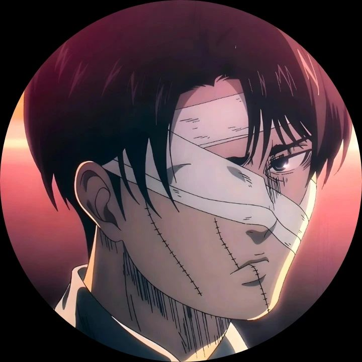 Levi Ackerman PFP