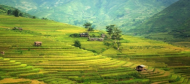 rice terraces, mountains, rice paddies,estate taxes