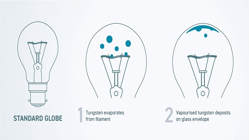 Halogen Cycle