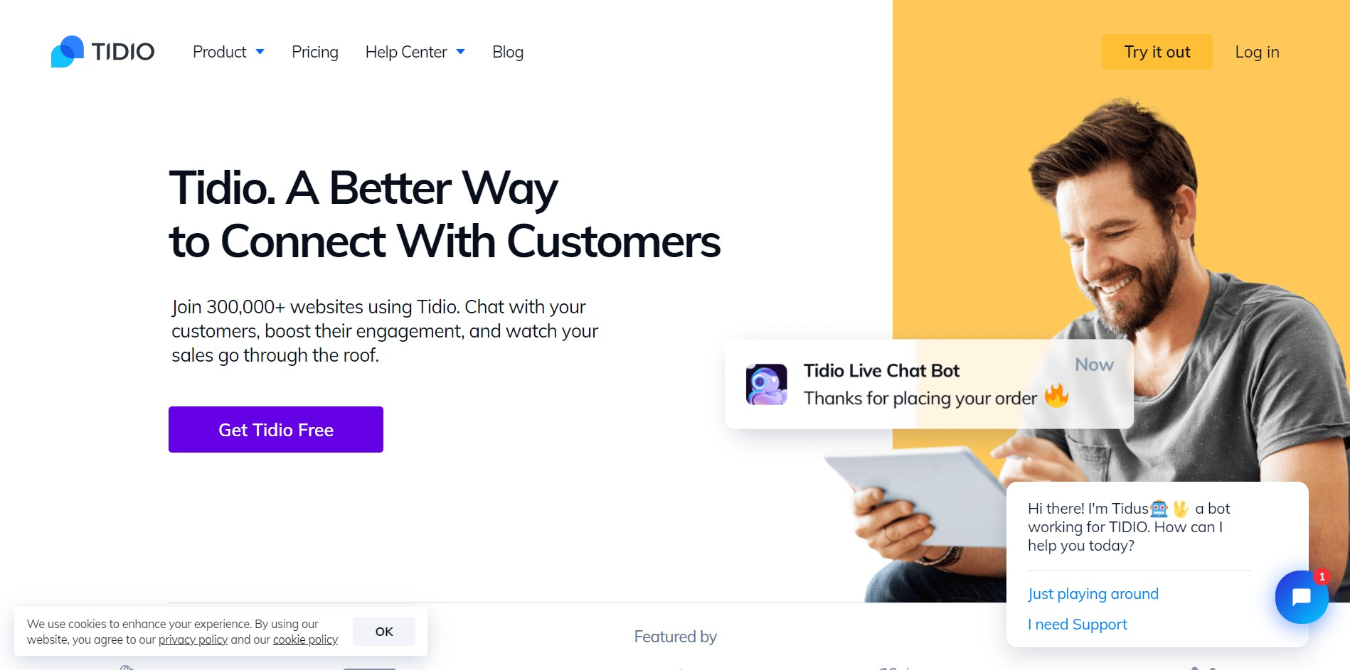Chatbot Tools: Tidio