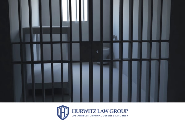 Potential Consequences if Convicted