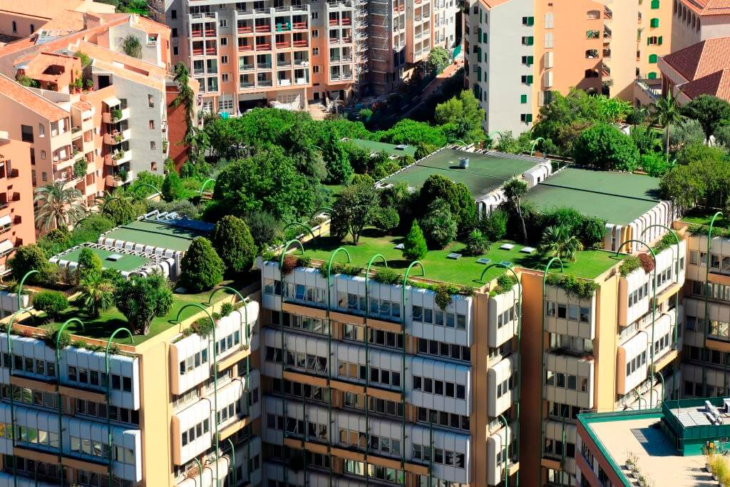 Green roof for a sustainable buidling