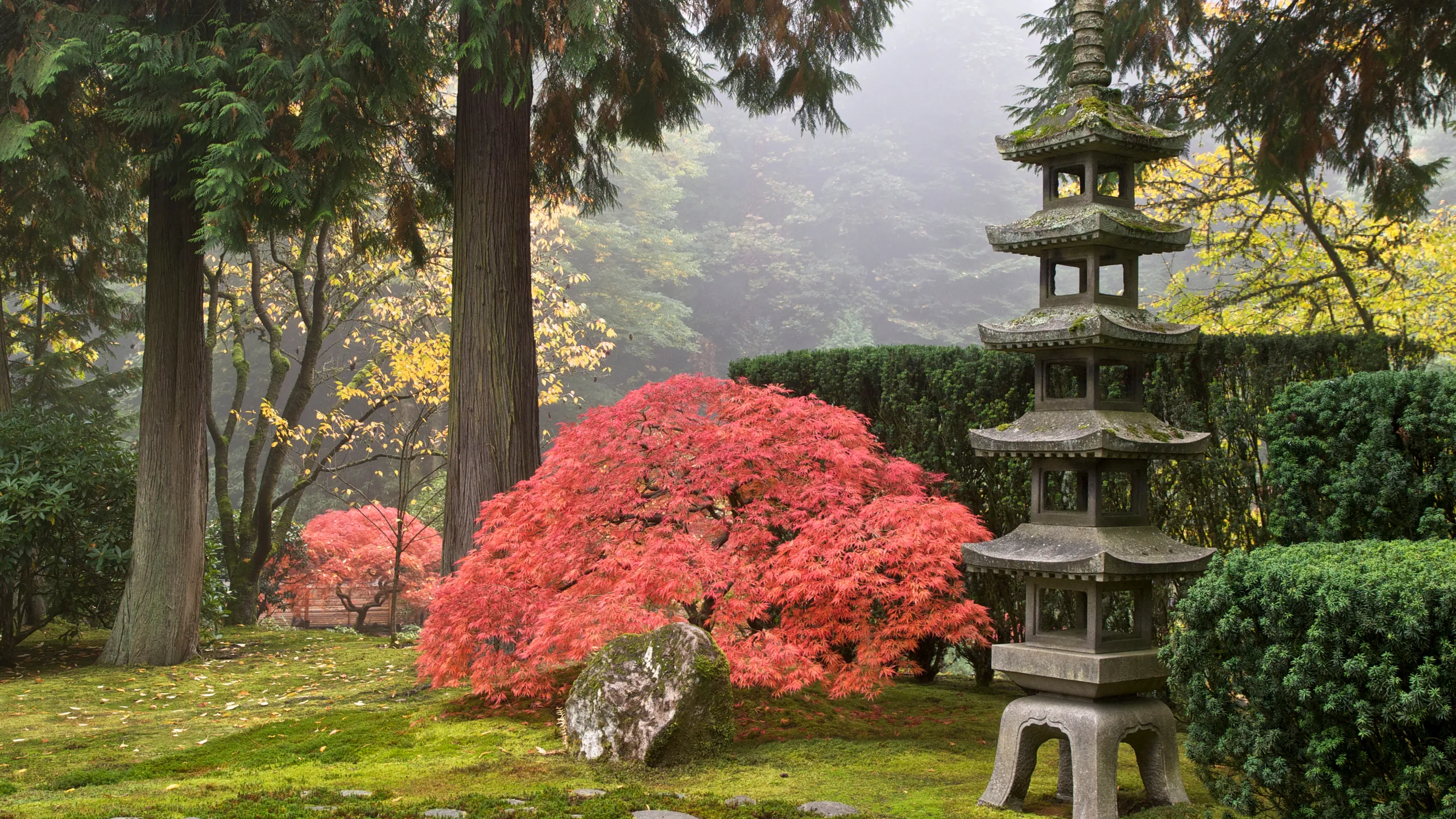 Portland Japanese Garden across from Portland International Rose Test Garden