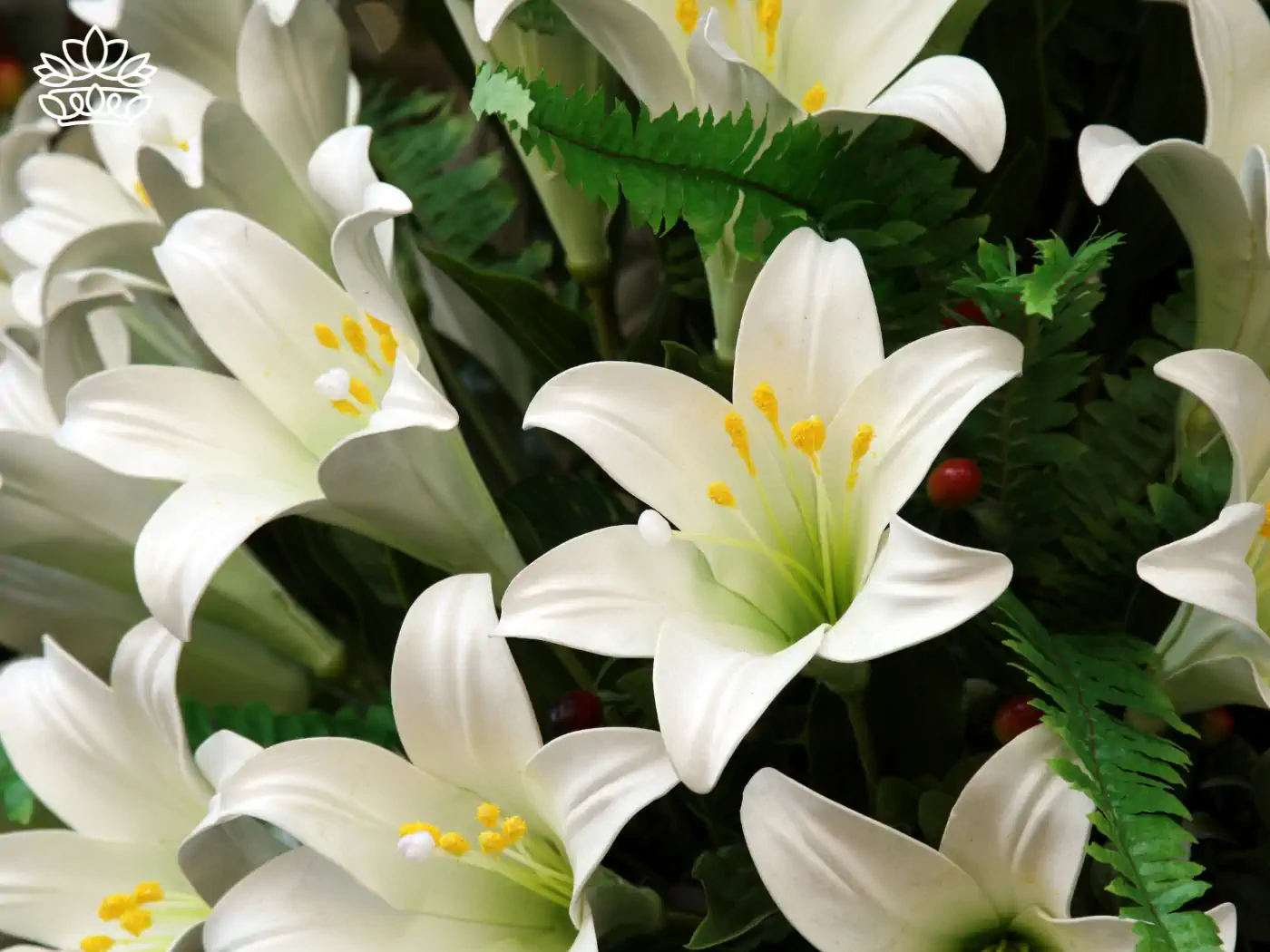 **Elegant white stargazer lilies in bloom, accented by green foliage and yellow stamen. Fabulous Flowers and Gifts.**