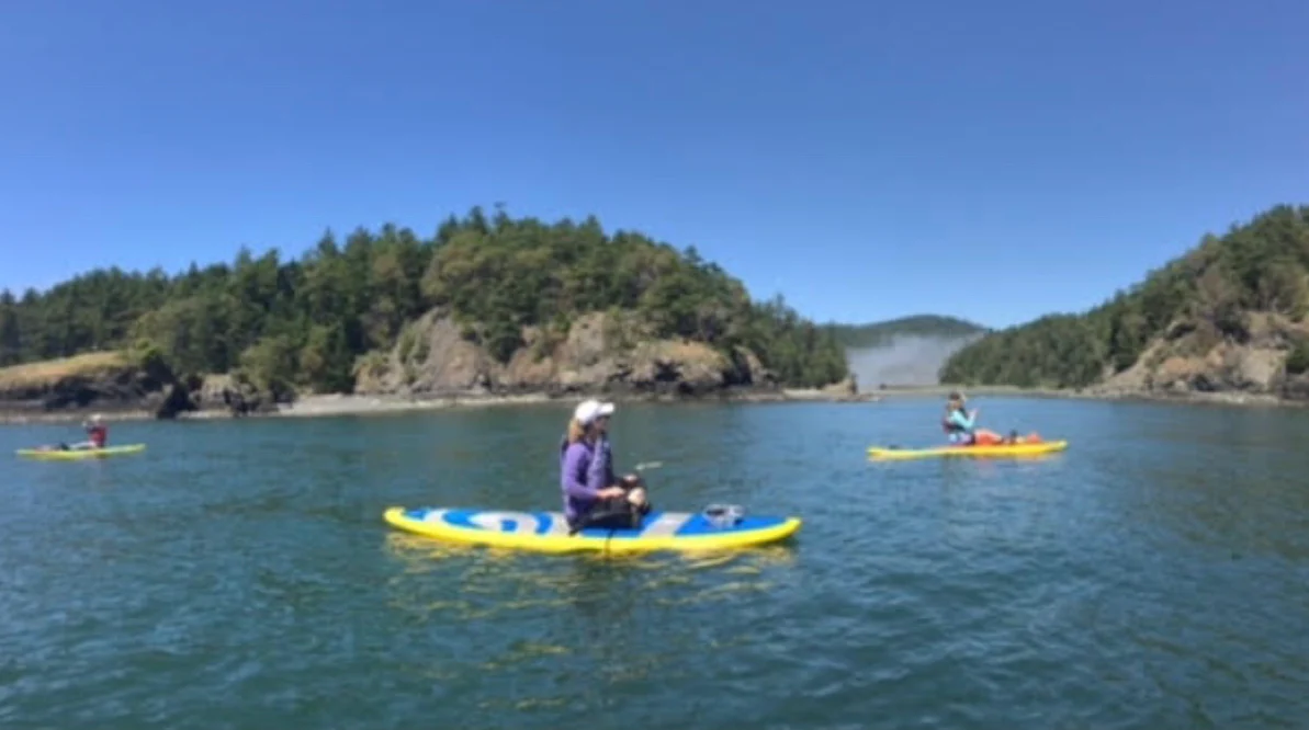 women on glide paddle boards