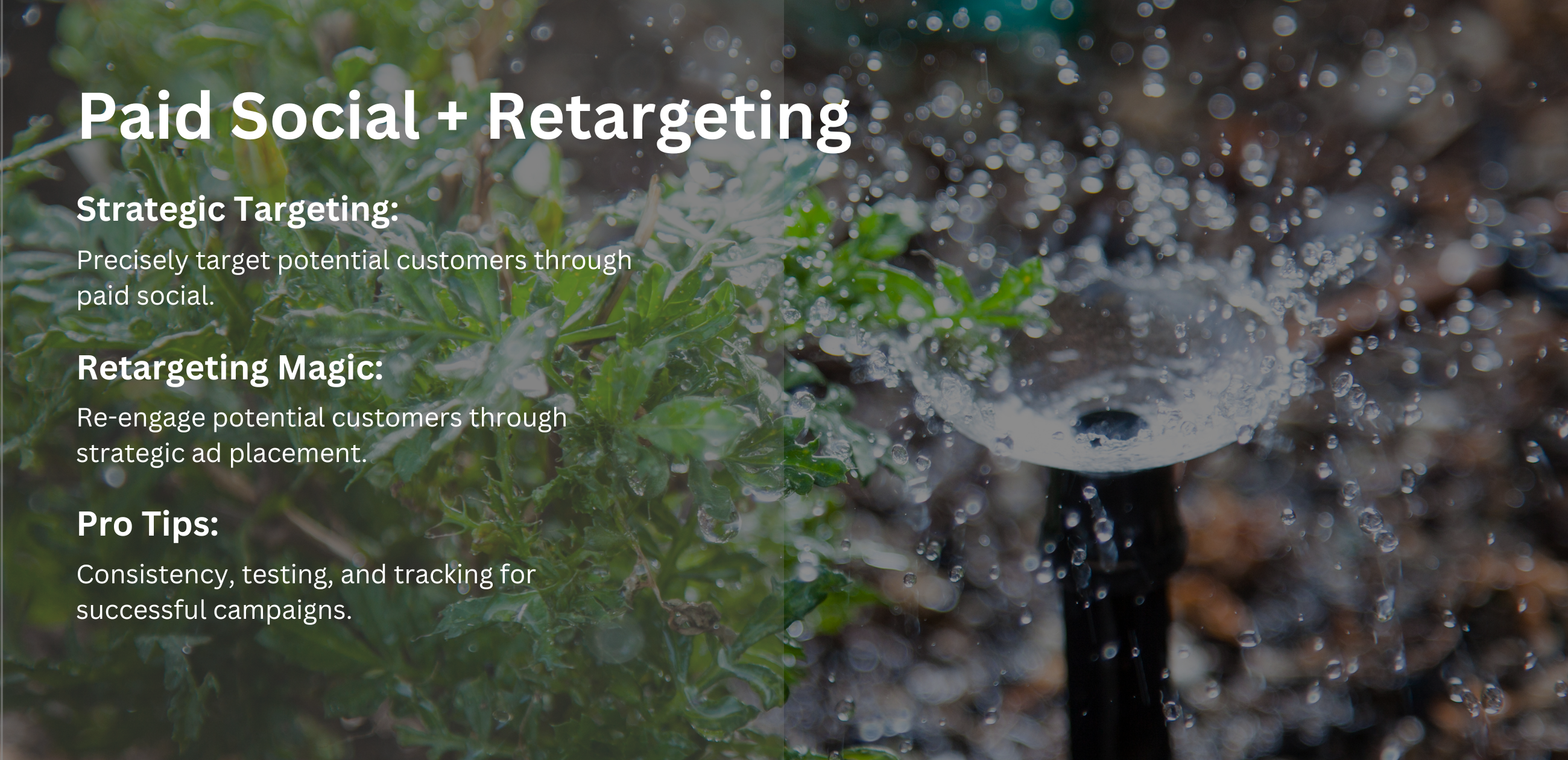 Paid Social + Retargeting: Engaging Your Audience Where They Are
