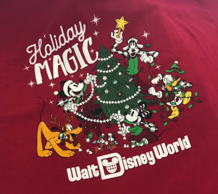 Holiday magic - Walt Disney World