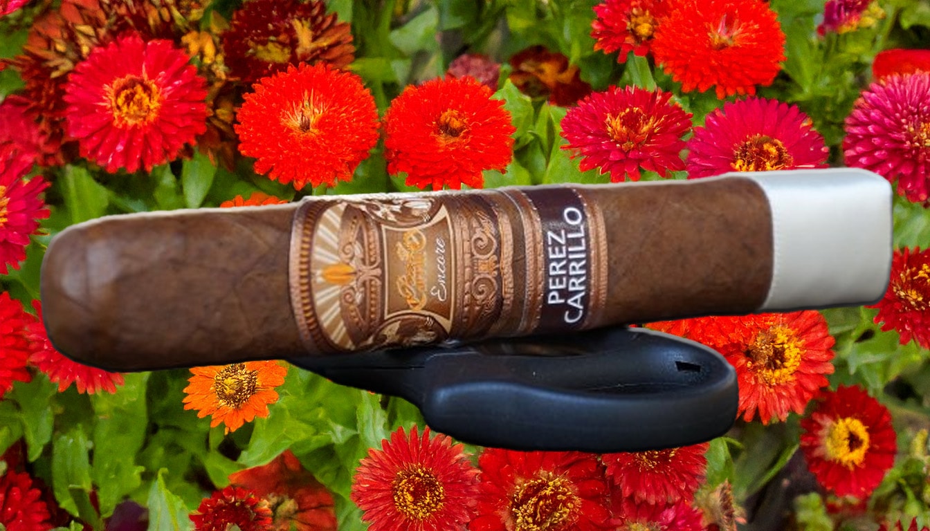 Cigar Aficionado's Top Pick: Ernesto Perez Carrillo Encore Majestic