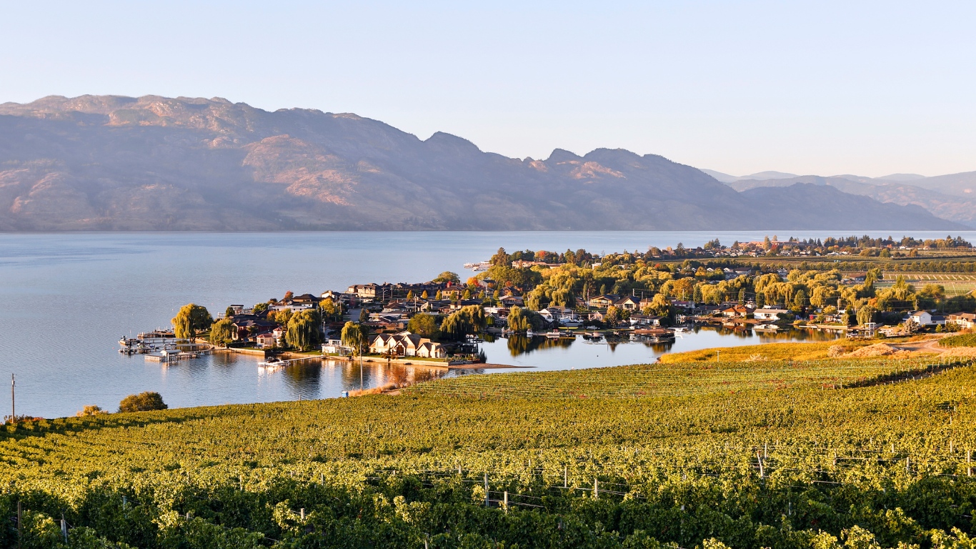 Vineyard overlooking Okanagen Laken in Kelowna, BC, Canada - Picture by laughingmango on Canva https://www.canva.com/photos/MAEEsM4appg/