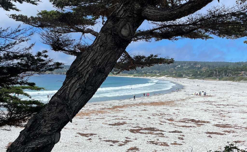 20 Best California Thanksgiving Getaways 10 Carmel by the Sea, California, USA