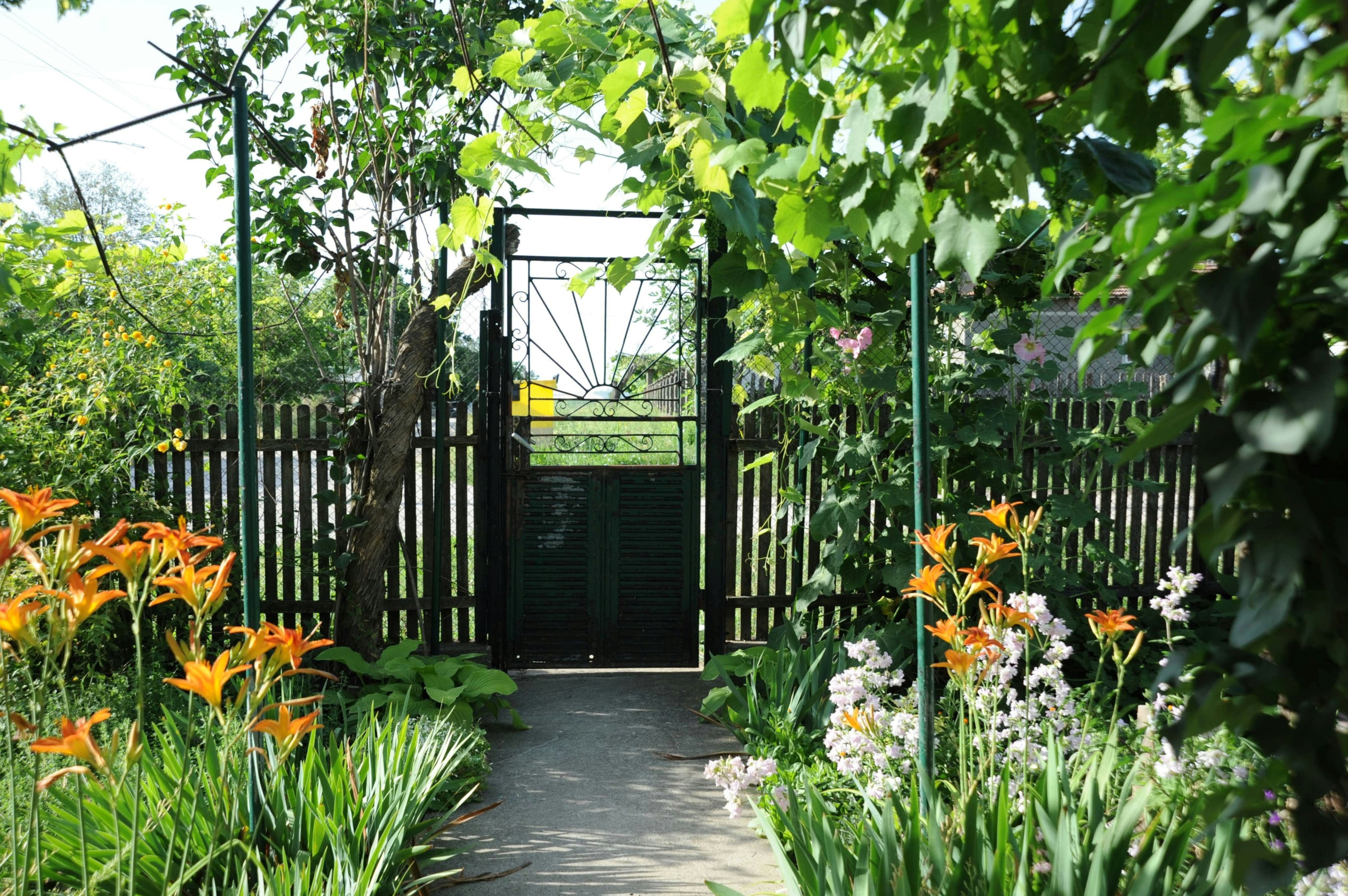 the outside of your house will also play a huge role during any viewing appointments 