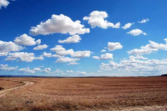 field, land, clouds