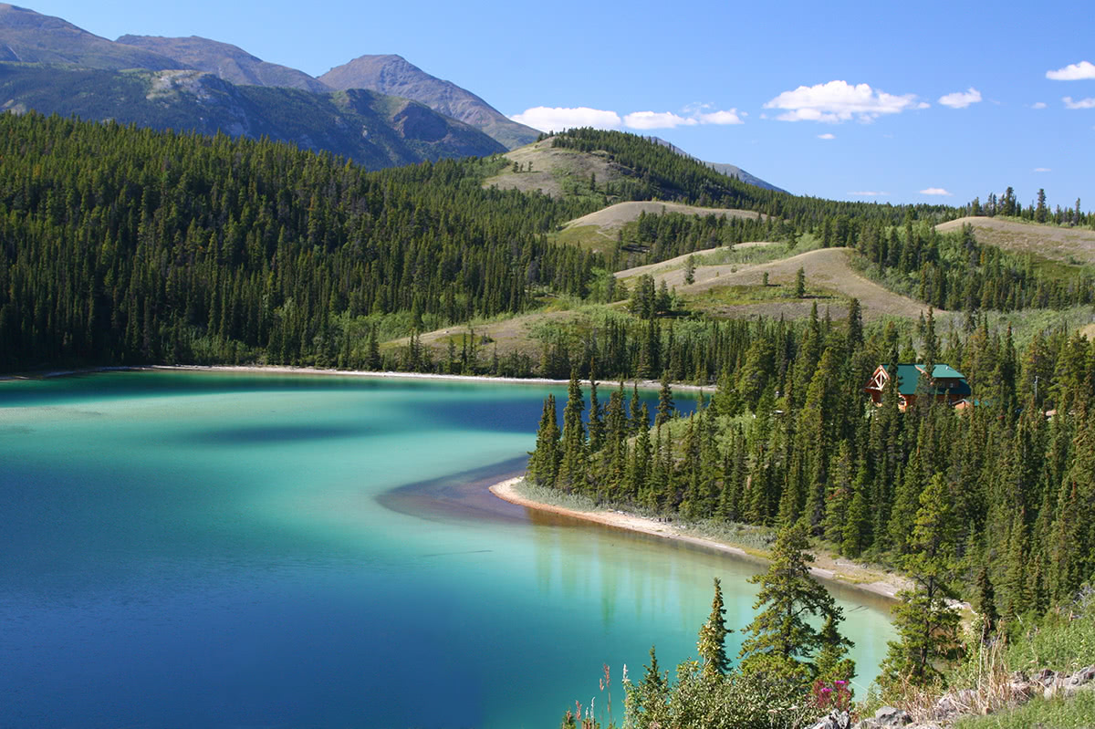 Yukon Landscape