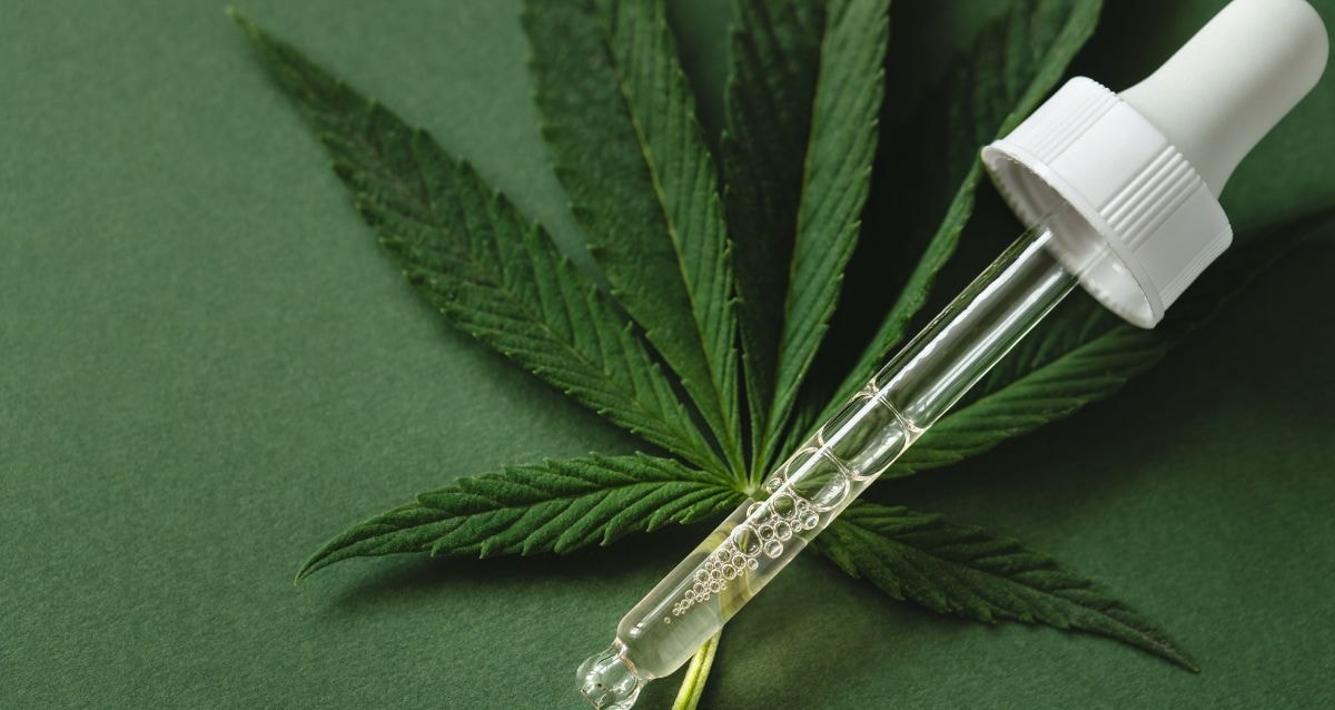 CBD oil products made from Cannabis