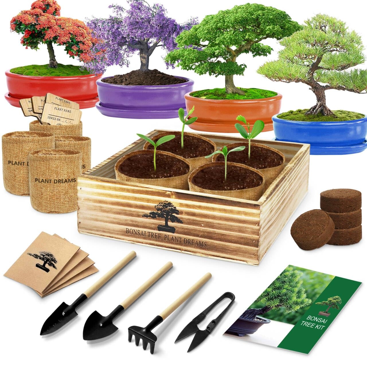 Bonsai Tree Starting Kit, Endbug 