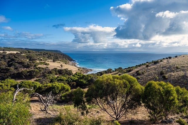 bay, coast, kangaroo island, cape willoughby, ocean, sky, water, coastline, trees, nature, landscape, australia, australia, australia, australia, australia, australia