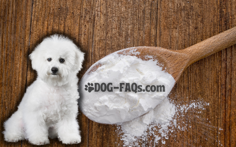 Can dogs eat treats made of cornstarch?