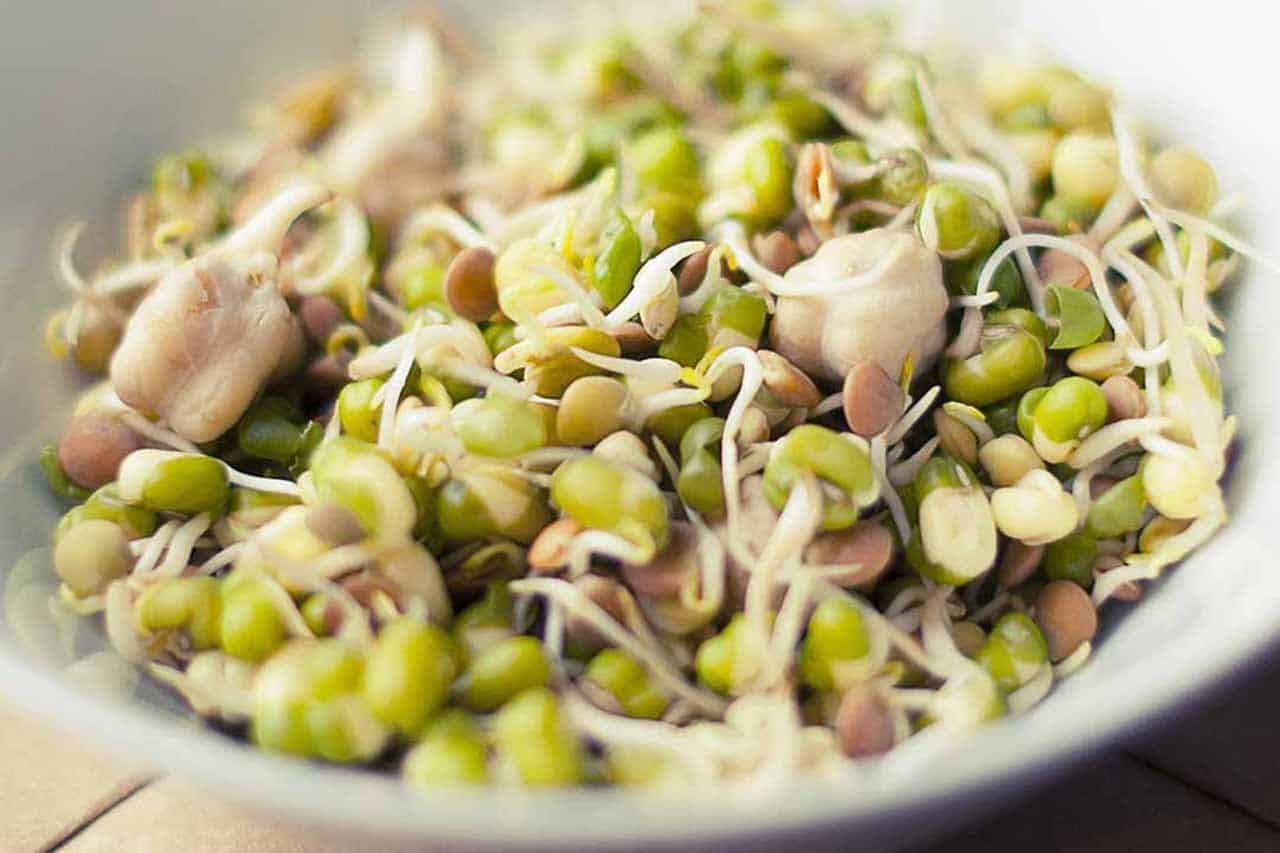 Prioritize protein intake