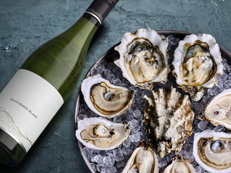 Illustration of oysters paired with a selection of wines.