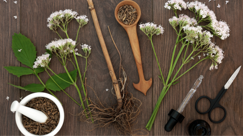 Baldrian soll uns sicher ins Reich des Schlafes führen