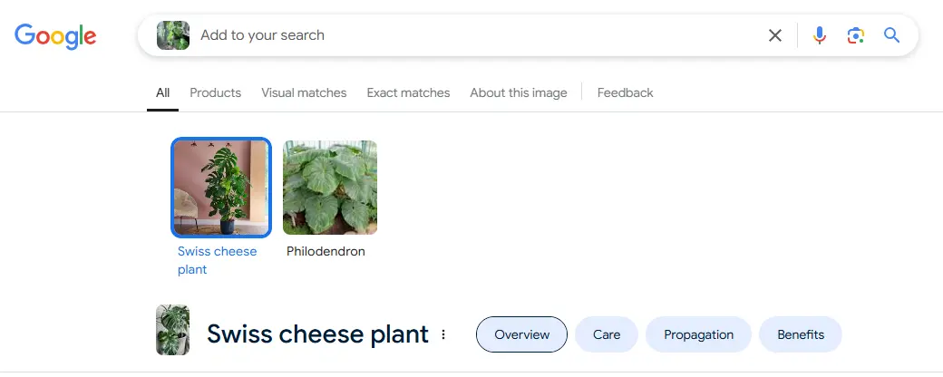 Visual Search
