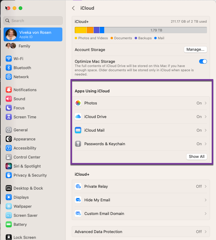 Enabling Documents & Data for iCloud on your Apple device
