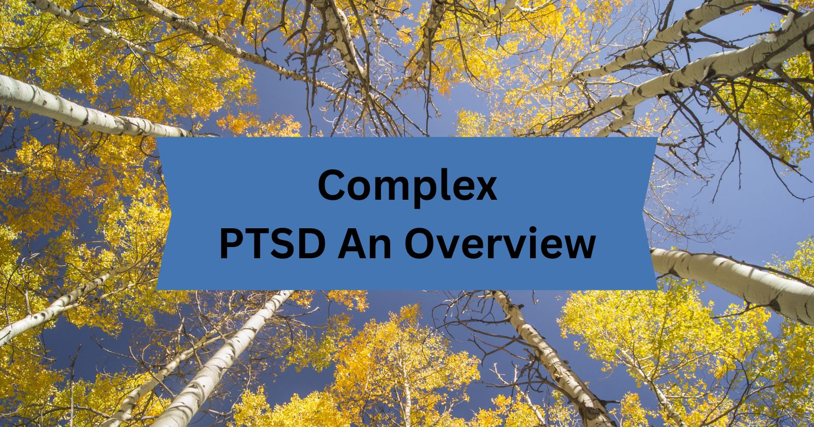 Complex Post-Traumatic Stress Disorder: An Overview

Trees picture in the background