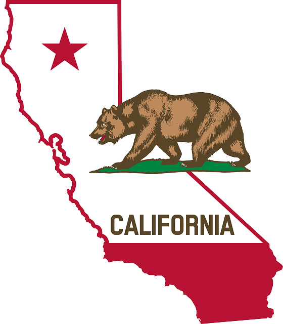 california, bear, flag
