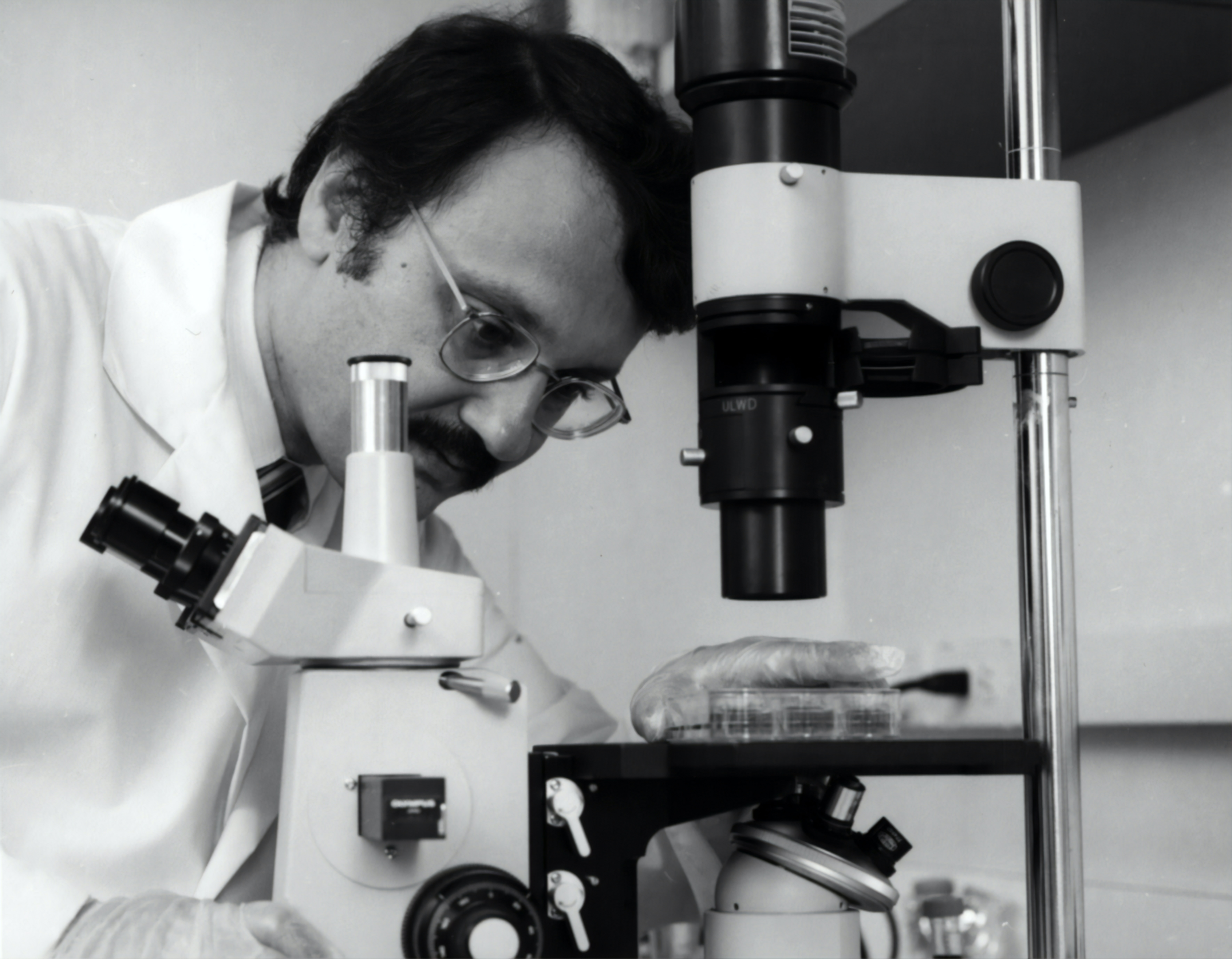 Image of a scientist looking at a microscope