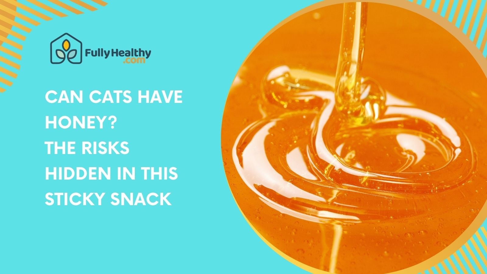 Can Cats Have Honey? The Risks Hidden in This Sticky Snack