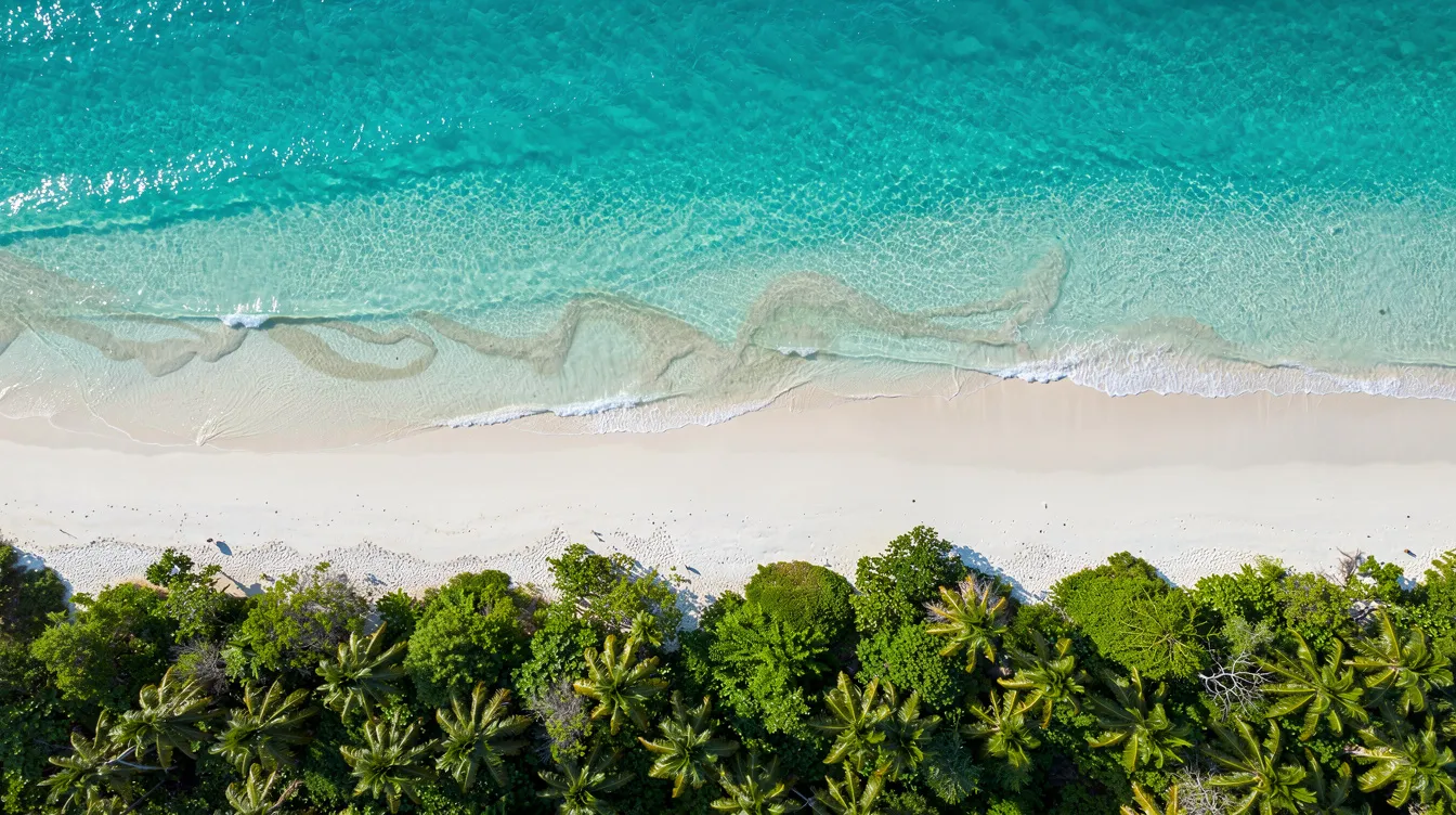 Vista aérea de um mar caribenho em azul turquesa, encontrando uma praia de areia branca cercada por vegetação tropical. Essa paisagem paradisíaca é um convite para férias em destinos como Curaçao, onde a beleza natural e as experiências à beira-mar se destacam.