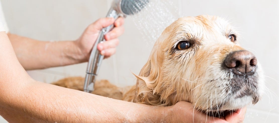 The Bathing Process