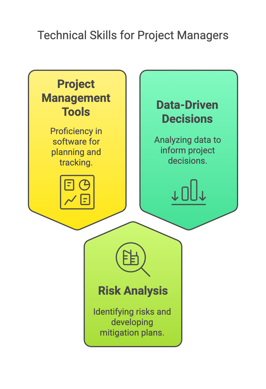 Project managers technical skills