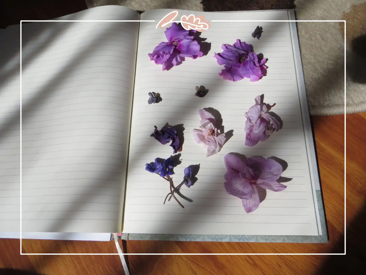 An open notebook featuring a collection of pressed purple flowers, beautifully spread out on lined pages. Fabulous Flowers and Gifts.