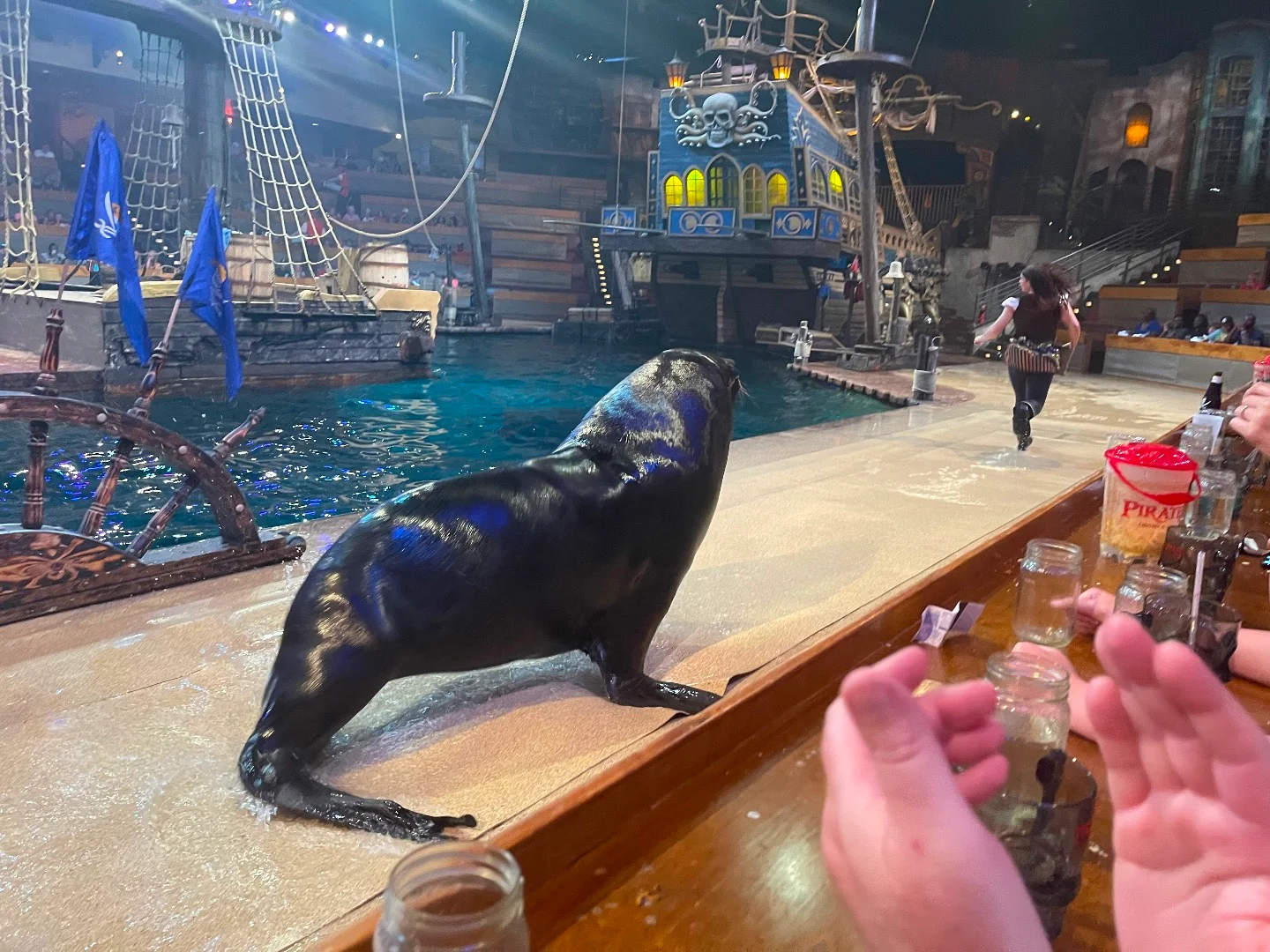 Experience Adventure at Pirates Voyage Dinner & Show