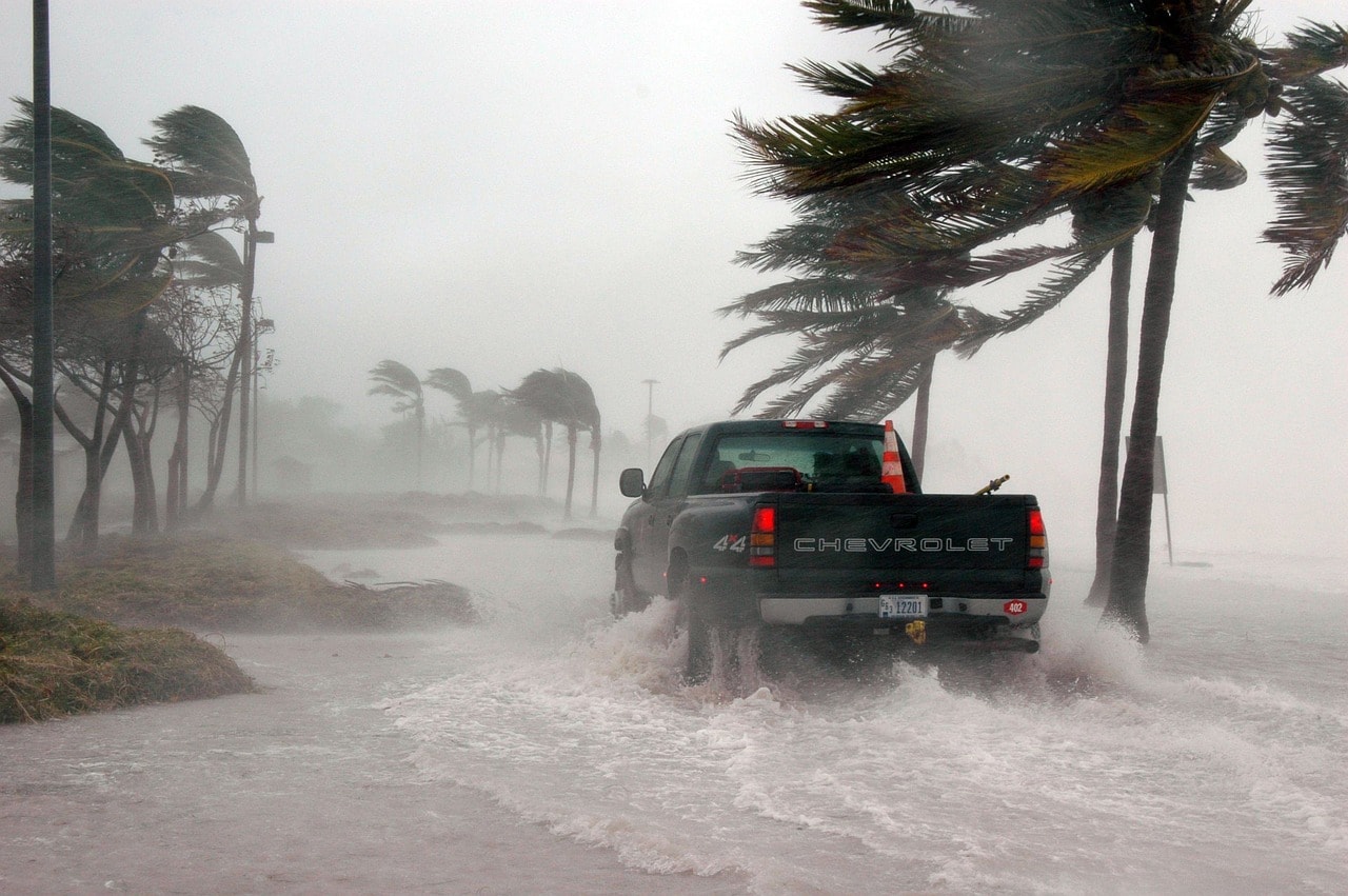 https://pixabay.com/photos/key-west-florida-hurricane-81665/