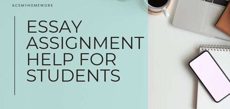 Essay Assignment Help