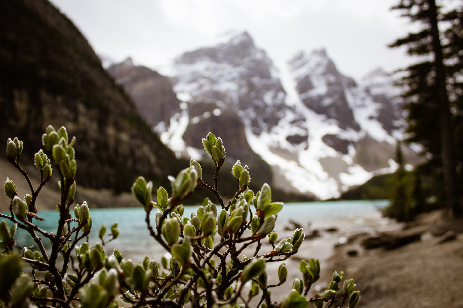 Canada's largest cave systems