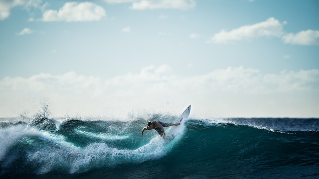 surfing, surfer, wave