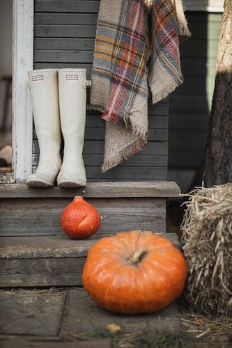 Charming little vignette as you explore Connecticut over the long weekend at the end of November